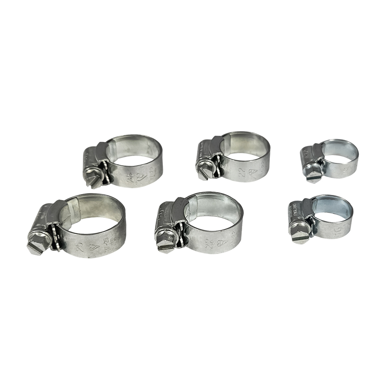 Worm gear clamps